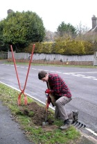 Planting trees, Houndean Rise, Lewes