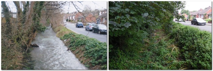 Winterbourne stream alongside Winterbourne Lane - in January (left) and in August (right)